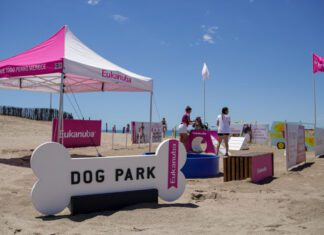 Vacaciones pet friendly: ¿qué hacer en estos últimos días de calor con tu mascota?