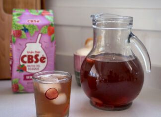 Ice Mate: si sos team verano, esta opción es para vos