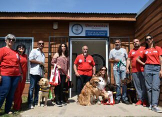 La importancia de los perros guías en la vida de las personas con discapacidad visual