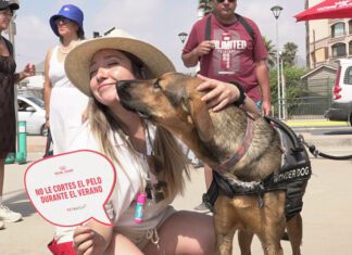 JOY activó “PETWATCH” en las playas chilenas