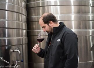 De Mendoza a Chapadmalal: Ezequiel Ortego, el Enólogo mendocino que elabora vinos a 6 kilómetros del mar