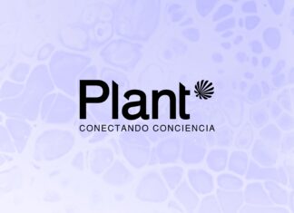 VEO Branding Company desarrolló la identidad visual de Plant, el primer marketplace plant based del país