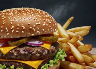 NotBurger de NotCo: éxito con inteligencia artificial y crecimiento del 110% en Argentina.