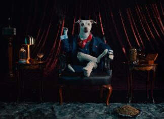 Sugar Doggies”: El proyecto de Potro Lima que redefine la adopción de perros adultos