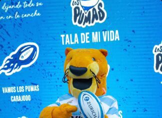 De la cancha a la vida: cómo las marcas pueden conectar con los aficionados en los eventos deportivos