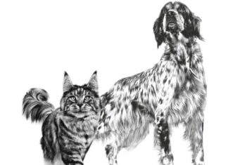 Anallergenic de Royal Canin: Innovación en nutrición para pacientes con reacción adversa al alimento