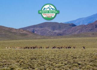 24 años protegiendo la naturaleza: la Reserva Natural Villavicencio celebra su aniversario