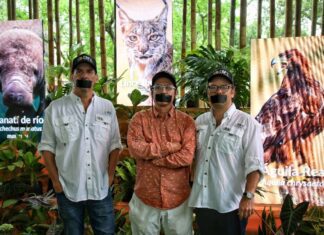 Inmov y Latir, las agencias que con creatividad le dieron voz a la naturaleza en la COP16