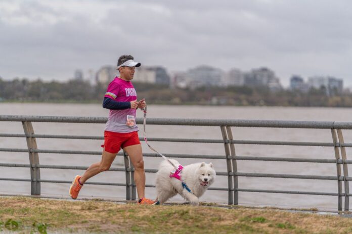 jpeg-optimizer_dogrun_2023_diegowinitzky-60