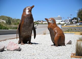 Un llamado desde el arte a la conservación marina en la Patagonia
