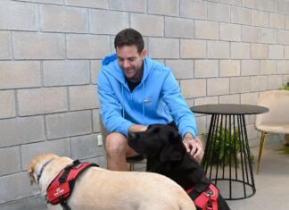 Torito y Pinky, los perros de Asistencia que acompañaron a Juan Martín Del Pobro en su “Ultimo Desafio”