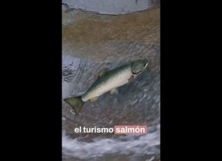 Buenos Aires lanzó un spot que invita a redescubrir la ciudad en verano