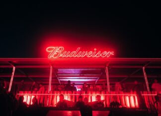 Budweiser: La cerveza del verano Marplatense