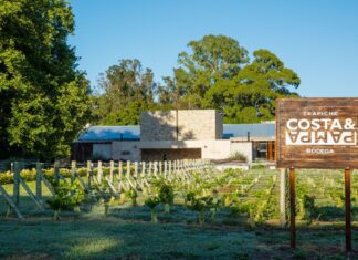 Bodega Trapiche Costa & Pampa: Una década de innovación y calidad en la viticultura Atlántica