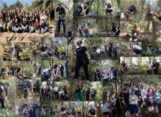Dentsu Argentina presenta el bosque dentsu: un compromiso con la biodiversidad y el medio ambiente