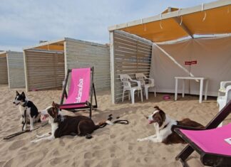 Mar del Plata, Pinamar y Chascomús: Eukanuba presenta su “Ruta Dog friendly” para el verano 2025