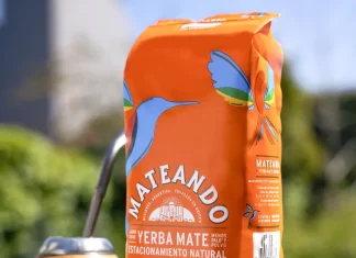 El mate frío: una alternativa para disfrutar del verano y pasarla bien mateando