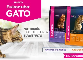 Eukanuba despierta el instinto felino con su nueva línea de alimento para gatos en Argentina