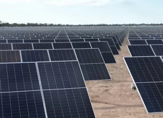 Del sol a las fábricas: Unilever sella un acuerdo con MSU Green Energy para impulsar la energía solar en Argentina