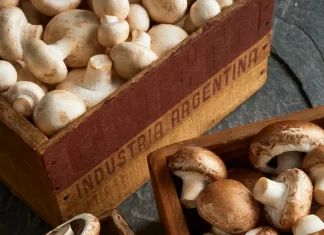 Los hongos pisan fuerte: una tendencia saludable que crece en Argentina