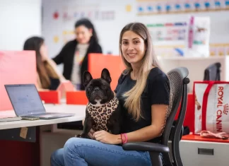 Oficinas pet friendly: trabajar con tu mascota es un hecho