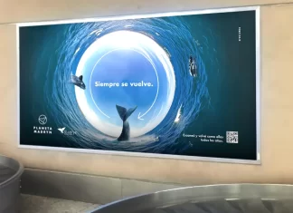 Puerto Madryn lanza su campaña 2025 para la Temporada de Ballenas: “Siempre se vuelve”