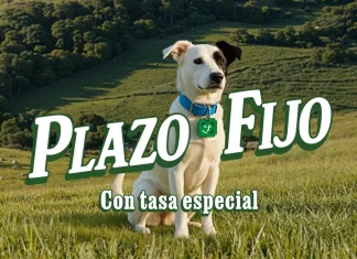 Ahora Cuenta DNI tiene plazo fijo