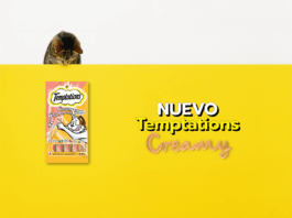 Hogarth Argentina y Mars Pet Nutrition lanzan “Los gatos no podrán resistirse” para Temptations Creamy en Colombia y Chile
