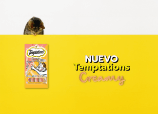 Hogarth Argentina y Mars Pet Nutrition lanzan “Los gatos no podrán resistirse” para Temptations Creamy en Colombia y Chile