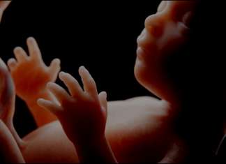 Philco y Agens presentan una promo exclusiva para embarazadas.