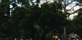 Heineken®, sponsor de la Fórmula 1, trajo el Franco Colapinto Roadshow ante más de 600.000 fanáticos