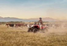 Almacén y Honda presentan “Soluciones”, el comercial con el que le dan la bienvenida al Honda TRX420