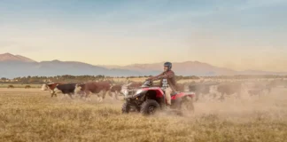 Almacén y Honda presentan “Soluciones”, el comercial con el que le dan la bienvenida al Honda TRX420