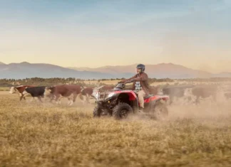 Almacén y Honda presentan “Soluciones”, el comercial con el que le dan la bienvenida al Honda TRX420