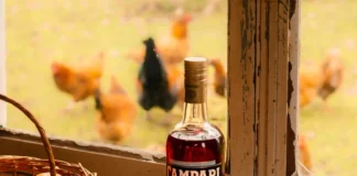 Cinco bartenders, cinco miradas sobre el Negroni: Campari ya tiene a los finalistas de la Campari Bartender Competition 2026
