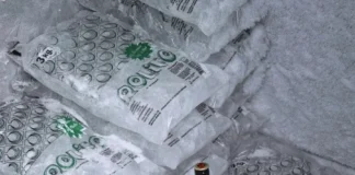 Jägermeister, Rolito y TombrasNiña juntaron fuerzas para congelar a Inglaterra antes de la semifinal.