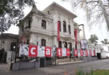 Cat House de Royal Canin: una experiencia interactiva que reunió a más de mil amantes de los gatos