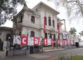 Cat House de Royal Canin: una experiencia interactiva que reunió a más de mil amantes de los gatos