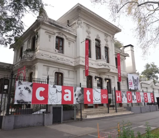 Cat House de Royal Canin: una experiencia interactiva que reunió a más de mil amantes de los gatos